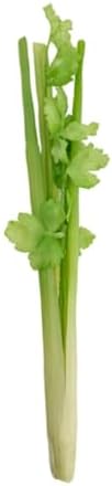 Artificial Celery Fake Veggie Home Decor Model 39x5cm
