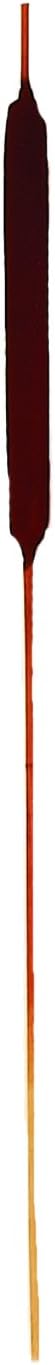Worth Imports 30 Inch Dried Brown Cattail Flower Bunches