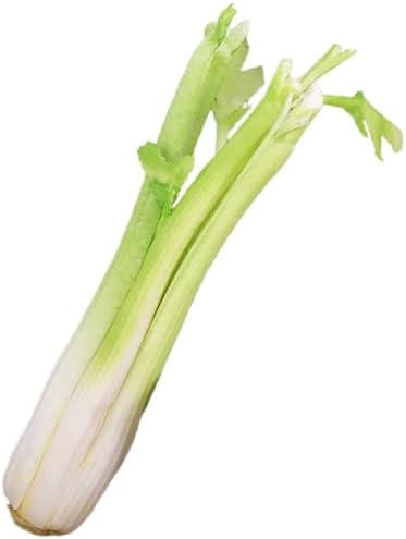Realistic Artificial Celery PU Vegetable for Photography Props