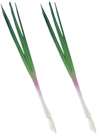 LUOZZY Artificial Green Onion Models 2 Pack