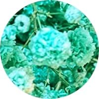 CalCastle Craft Dried Flower Babys Breath Bouquet 27 Inch Turquoise