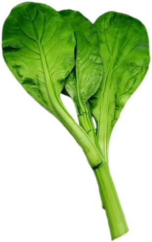 LOGOFUN Artificial Vegetable Display Prop Green