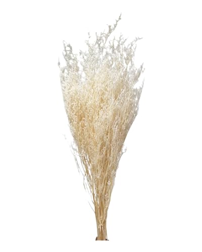 Bleached Preserved Limonium Artificial Flowers