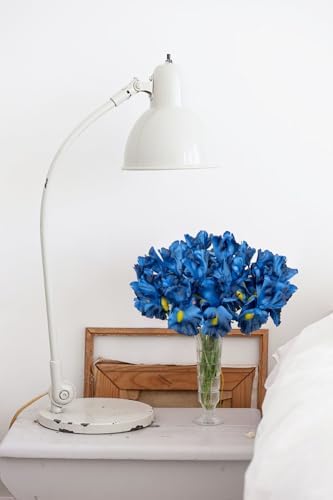 Hollyone Iris Artificial Flowers 15Pcs Blue 142 Inch Real Touch Bouquet
