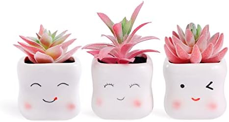 Tiita Cute Artificial Succulents in Ceramic Pots