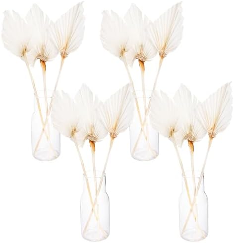 AVLA 12 Pack Boho Dried Palm Leaves with Stem