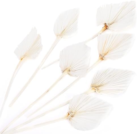 AVLA 12 Pack Boho Dried Palm Leaves with Stem