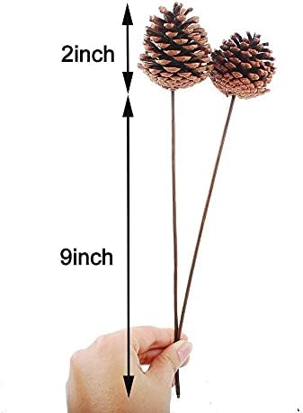 NWFashion 10PCS 2INCH Natural Dried Pinecones for Crafting
