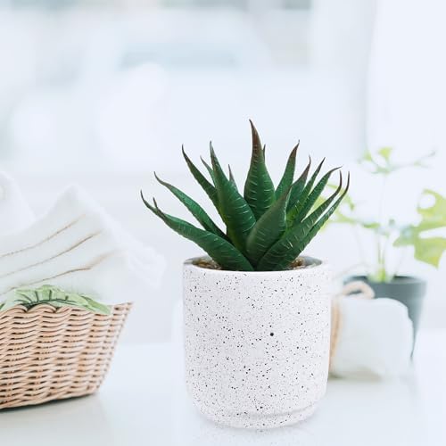 Winlyn Set of 3 Artificial Succulent Plants in White Cement Pots