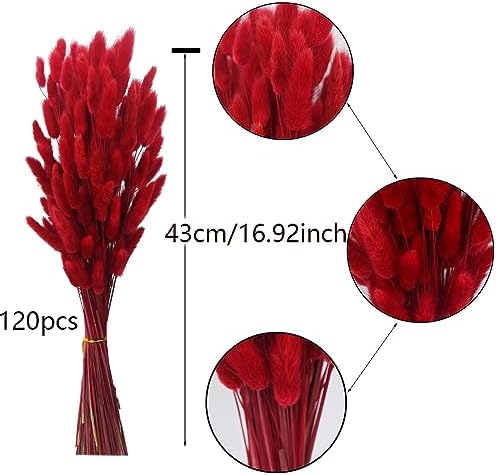 CISDUEO 120pcs Dried Red Bunny Tail Flowers