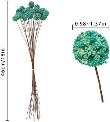 24 PCS Dried Billy Balls Flowers Bouquet Blue