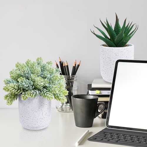 Winlyn Set of 3 Artificial Succulent Plants in White Cement Pots