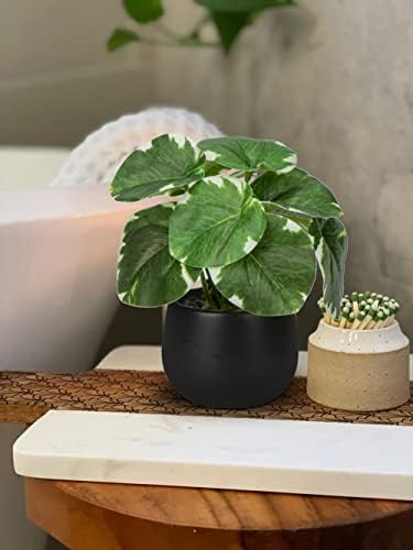 Briful 3PCS Artificial Plants in Black Ceramic Pots