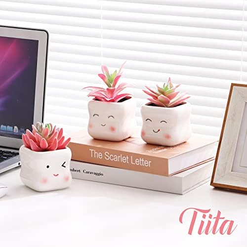 Tiita Cute Artificial Succulents in Ceramic Pots