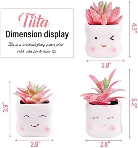 Tiita Cute Artificial Succulents in Ceramic Pots