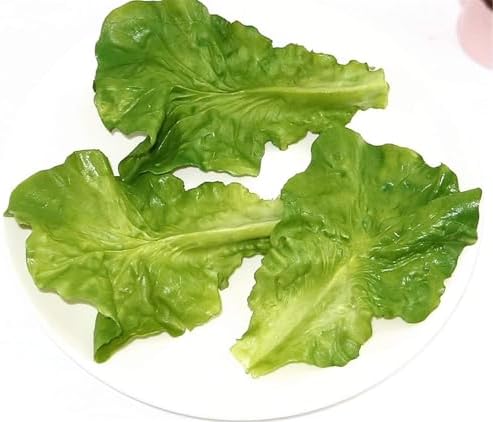 10Pcs Artificial Lettuce Leaves for Home Party Kitchen Decor