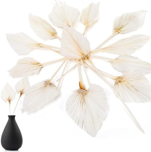 AVLA 12 Pack Boho Dried Palm Leaves with Stem