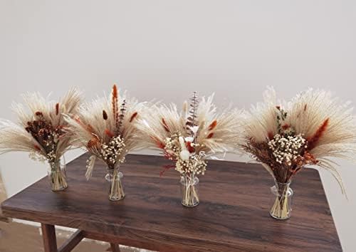 DXXD Dried Flowers Bouquet with Terracotta Vase