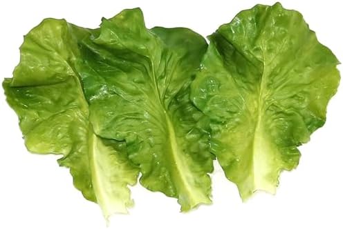 10Pcs Artificial Lettuce Leaves for Home Party Kitchen Decor
