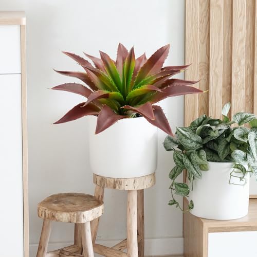 Agusbagli Artificial Succulent Plants with Real Touch