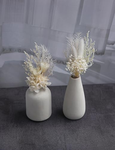 Mini Dried Flower Bouquet Pack of 6 White