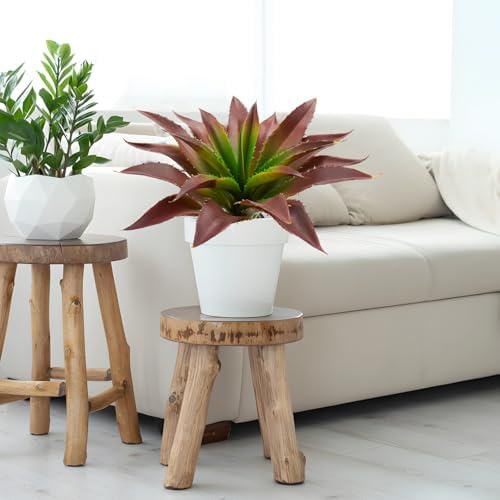 Agusbagli Artificial Succulent Plants with Real Touch