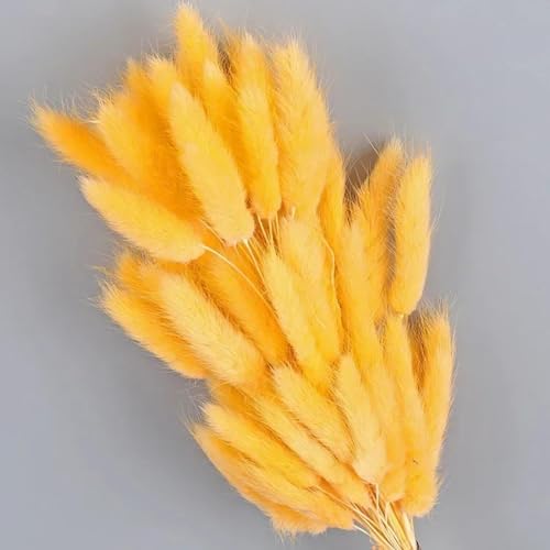 Dried Flower Bunny Tails 60 Pcs Artificial Plants Home Decor