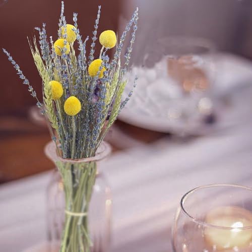 CISDUEO Natural Dried Flower Bouquet with Wheat Stalks and Lavender