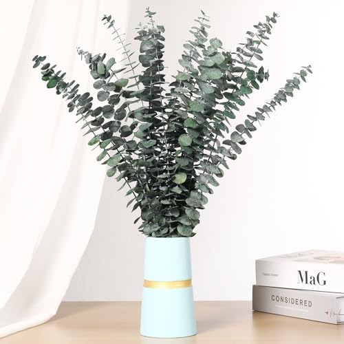 20 Pcs Dried Eucalyptus Stems for Spa Bathroom Decor