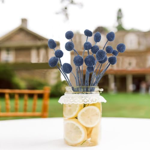 CISDUEO 20 Pcs Dried Billy Balls Blue Flowers Bouquet Decor