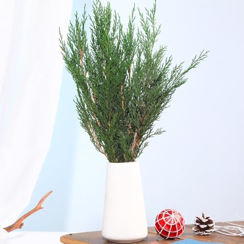 Preserved Real Pine Leaves Branches 17 for Christmas Decor