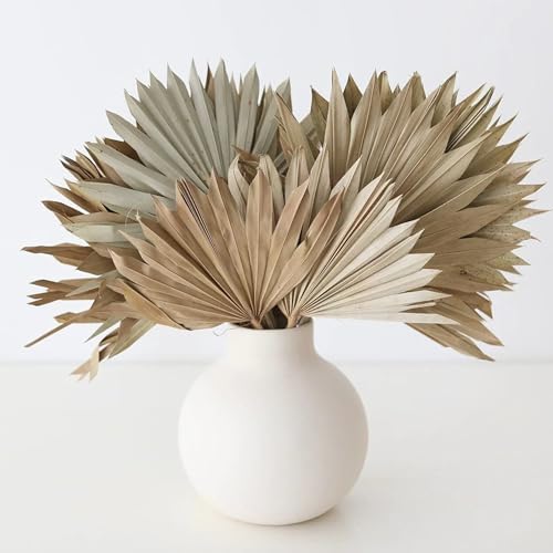 Bundle of 5 Afloral Natural Sun Palms 14-20 Inch