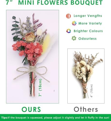 Mini Dried Flowers Bouquet for Vase and Wedding Corsage