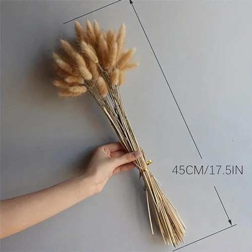Dried Flower Bunny Tails 60 Pcs Artificial Plants Home Decor