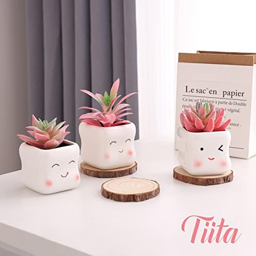 Tiita Cute Artificial Succulents in Ceramic Pots