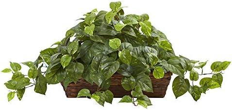 Nearly Natural Pothos Plant with Ledge Basket Green