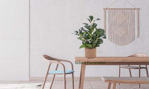 126 Inch Realistic Fake Ficus Plant in Brown Ceramic Vase
