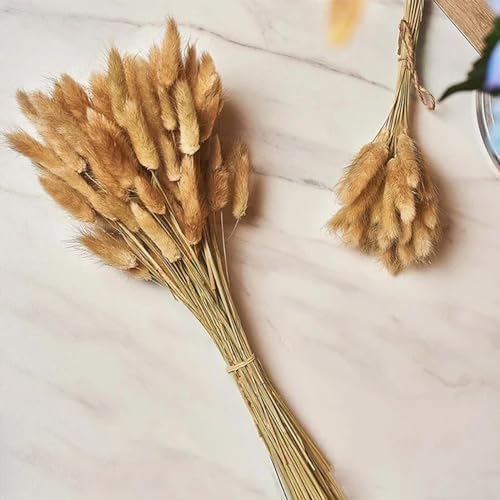 Dried Flower Bunny Tails 60 Pcs Artificial Plants Home Decor