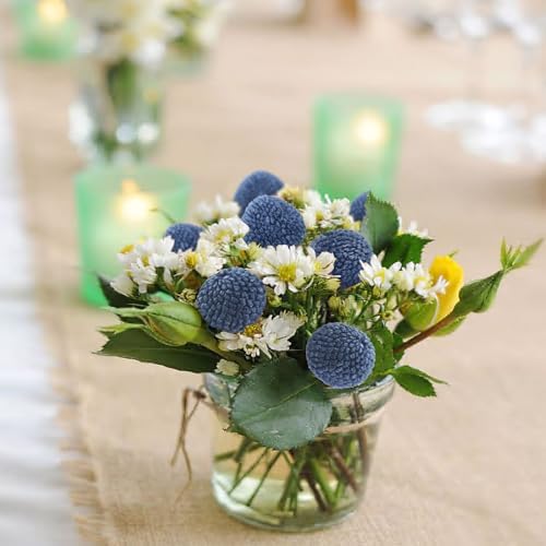 CISDUEO 20 Pcs Dried Billy Balls Blue Flowers Bouquet Decor