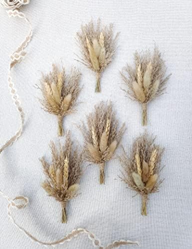 Mini Dried Flower Bouquet Pack of 6 Brown Pampas