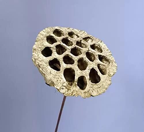 5pcs Artificial Gold Lotus Golden Flowers Leaves Stem Plants for Flowers Arrangement