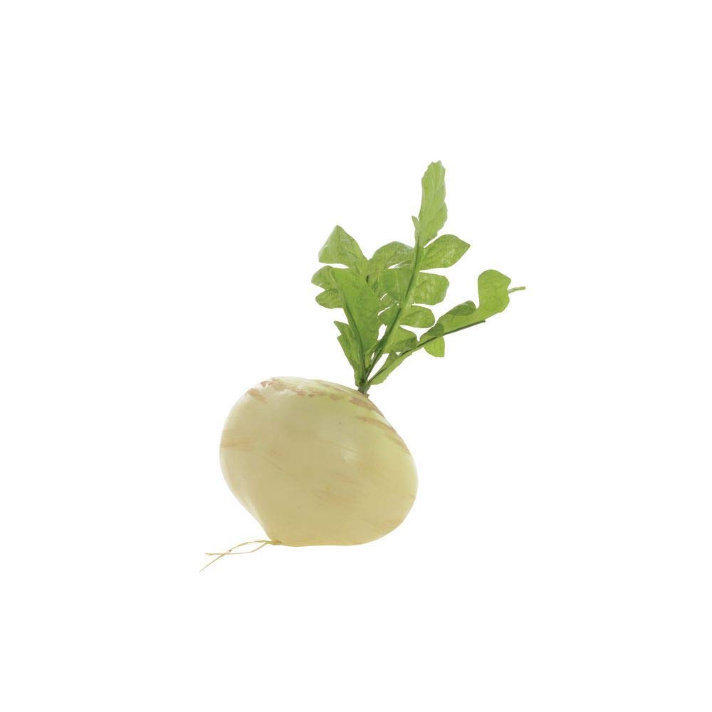Retail Resource Turnip Imitation White Artificial Flowers