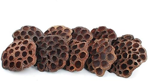 NWFashion 10pcs Artificial Dried Brown Lotus Pods Decoration