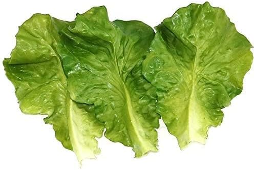 10Pcs Artificial Lettuce Leaves for Home Party Kitchen Decor