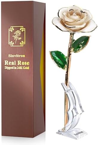 Sinvitron 24K Gold Dipped Infinity Rose Decor