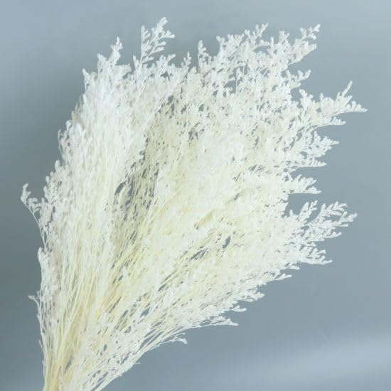 Bleached Preserved Limonium Artificial Flowers