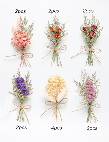 14pcs Dried Forget-me-not Bouquet With Stems