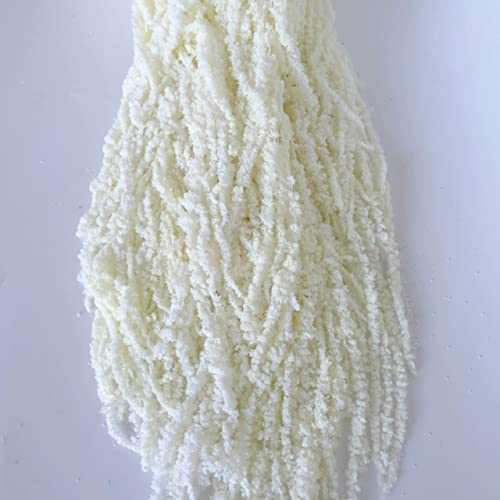 Bleached Hanging Amaranthus 5 Stems Natural Dried Flowers