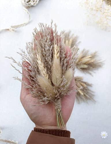 Mini Dried Flower Bouquet Pack of 6 Brown Pampas
