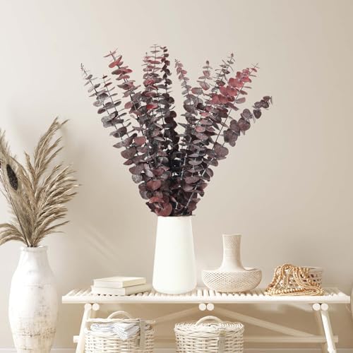 16 Pcs Preserved Eucalyptus Stems for Home Spa Decor